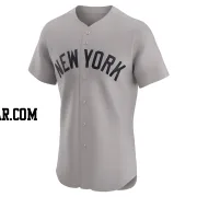 Aaron Judge Men's New York Yankees Gray Elite Road Jersey