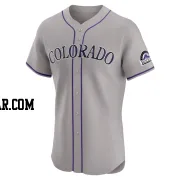 Aaron Schunk Men's Colorado Rockies Gray Elite Road Jersey