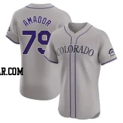 Adael Amador Men's Colorado Rockies Gray Elite Road Jersey