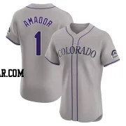 Adael Amador Men's Colorado Rockies Gray Elite Road Jersey