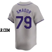 Adael Amador Men's Colorado Rockies Gray Limited Road Jersey