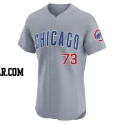 Adbert Alzolay Men's Chicago Cubs Gray Elite Road Jersey