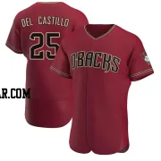 Adrian Del Castillo Men's Arizona Diamondbacks Authentic Crimson Alternate Jersey