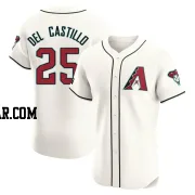 Adrian Del Castillo Men's Arizona Diamondbacks Cream Elite Home Patch Jersey