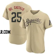 Adrian Del Castillo Men's Arizona Diamondbacks Gold Authentic 2021 City Connect Jersey