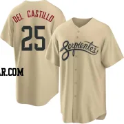 Adrian Del Castillo Men's Arizona Diamondbacks Gold Replica 2021 City Connect Cool Base Jersey