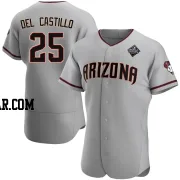 Adrian Del Castillo Men's Arizona Diamondbacks Gray Authentic Road 2023 World Series Jersey