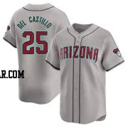 Adrian Del Castillo Men's Arizona Diamondbacks Gray Limited Away Jersey