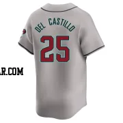 Adrian Del Castillo Men's Arizona Diamondbacks Gray Limited Away Jersey