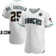 Adrian Del Castillo Men's Arizona Diamondbacks White Authentic Teal Alternate 2023 World Series Jersey