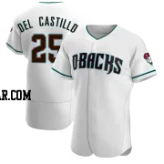 Adrian Del Castillo Men's Arizona Diamondbacks White/Teal Authentic Alternate Jersey