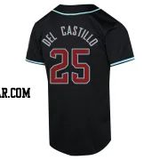 Adrian Del Castillo Youth Arizona Diamondbacks Black Limited Alternate Jersey