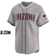 Adrian Del Castillo Youth Arizona Diamondbacks Gray Limited Away Jersey