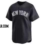 Agustin Ramirez Youth New York Yankees Navy Limited Alternate Jersey