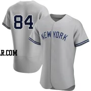 Albert Abreu Men's New York Yankees Gray Authentic Road Jersey