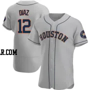 Aledmys Diaz Men's Houston Astros Gray Authentic Road Jersey