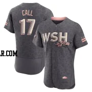 Alex Call Men's Washington Nationals Gray Authentic 2022 City Connect Jersey