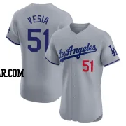 Alex Vesia Men's Los Angeles Dodgers Gray Elite Road Jersey