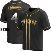 Alexander Canario Men's Chicago Cubs Black Golden Replica Alternate Jersey