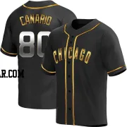 Alexander Canario Men's Chicago Cubs Black Golden Replica Alternate Jersey