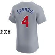 Alexander Canario Men's Chicago Cubs Gray Elite Road Jersey