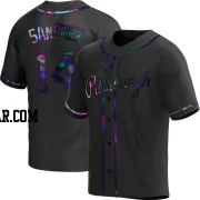 Ali Sanchez Men's Pittsburgh Pirates Black Holographic Replica Alternate Jersey