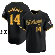 Ali Sanchez Men's Pittsburgh Pirates Black Limited Alternate Jersey