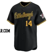 Ali Sanchez Men's Pittsburgh Pirates Black Limited Alternate Jersey