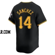 Ali Sanchez Men's Pittsburgh Pirates Black Limited Alternate Jersey