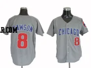 Andre Dawson Men's Chicago Cubs Grey Authentic Throwback Jersey