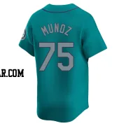 Andres Munoz Men's Seattle Mariners Aqua Limited Alternate Jersey