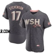 Andrew Stevenson Men's Washington Nationals Gray Authentic 2022 City Connect Jersey