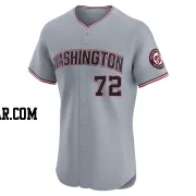 Andry Lara Men's Washington Nationals Gray Elite Road Jersey