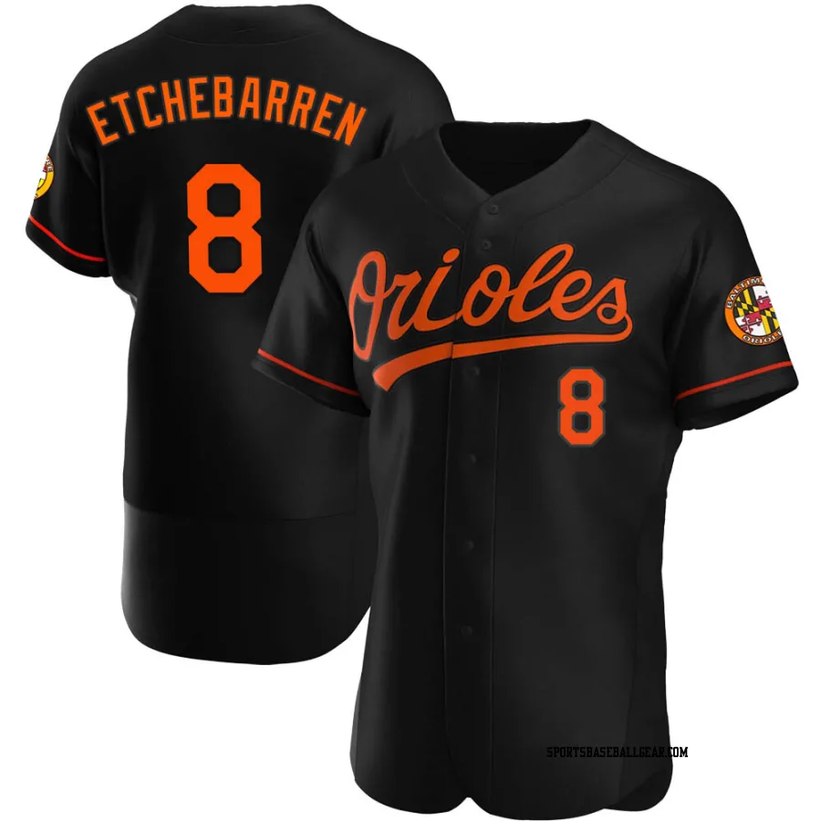 Andy Etchebarren Men's Baltimore Orioles Black Authentic Alternate Jersey