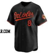 Andy Etchebarren Men's Baltimore Orioles Black Limited Alternate Jersey