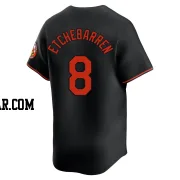 Andy Etchebarren Men's Baltimore Orioles Black Limited Alternate Jersey