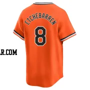 Andy Etchebarren Men's Baltimore Orioles Orange Limited Cooperstown Collection Jersey