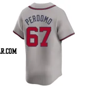 Angel Perdomo Youth Atlanta Braves Gray Limited Away Jersey