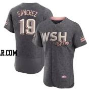 Anibal Sanchez Men's Washington Nationals Gray Authentic 2022 City Connect Jersey