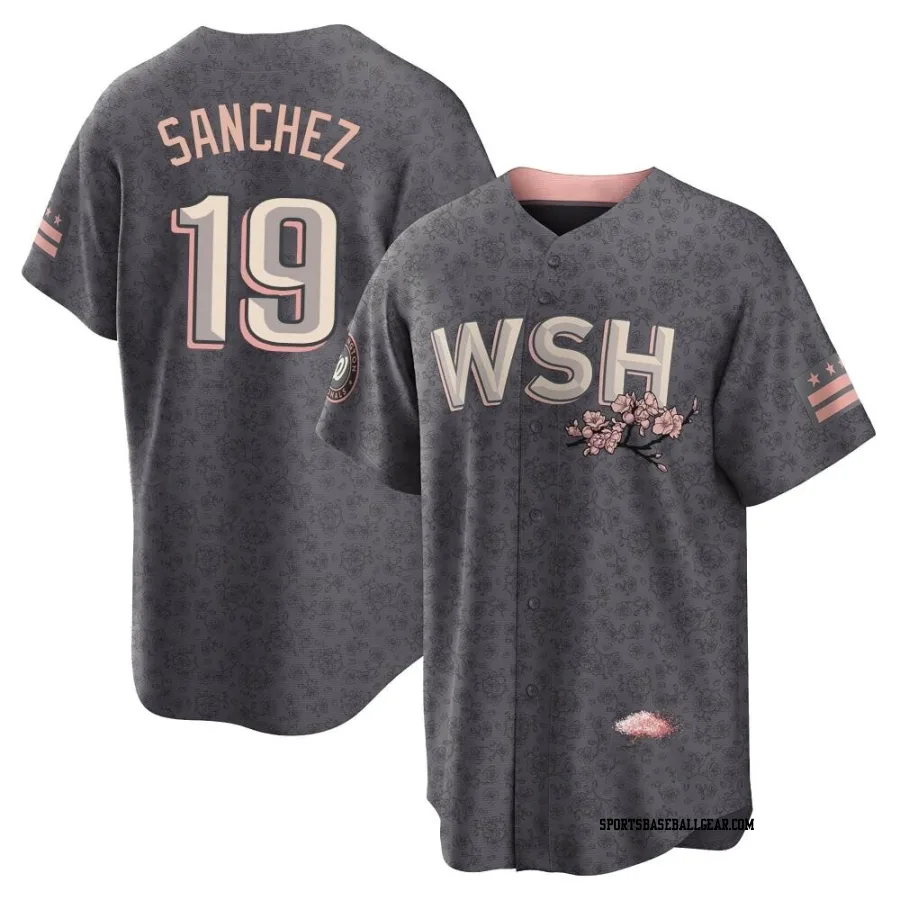 Anibal Sanchez Youth Washington Nationals Gray Replica 2022 City Connect Jersey