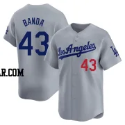 Anthony Banda Youth Los Angeles Dodgers Gray Limited Away Jersey