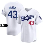 Anthony Banda Youth Los Angeles Dodgers White Limited 2024 World Tour Seoul Series Home Jersey