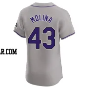 Anthony Molina Men's Colorado Rockies Gray Elite Road Jersey