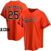 Anthony Santander Men's Baltimore Orioles Orange Replica Alternate Jersey