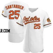 Anthony Santander Men's Baltimore Orioles White Authentic Home Jersey