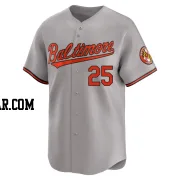 Anthony Santander Youth Baltimore Orioles Gray Limited Road Jersey