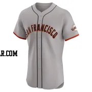 Atlee Hammaker Men's San Francisco Giants Gray Elite Road Jersey