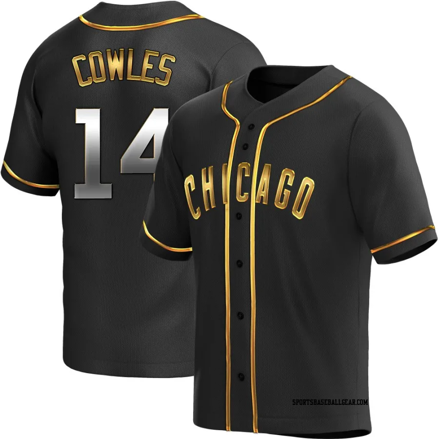 Benjamin Cowles Men's Chicago Cubs Black Golden Replica Alternate Jersey