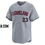 Bo Naylor Men's Cleveland Guardians Gray Limited Road Jersey