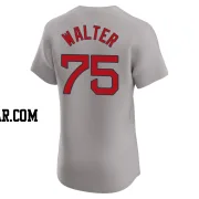 Brandon Walter Men's Boston Red Sox Gray Elite Road Jersey